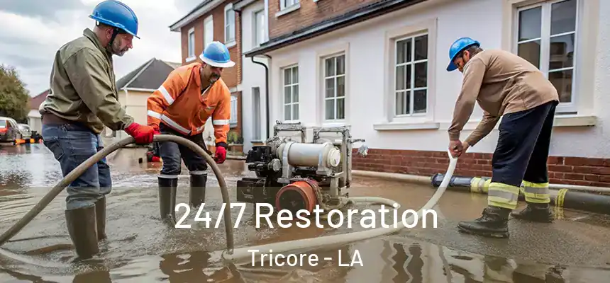 24/7 Restoration Tricore - LA