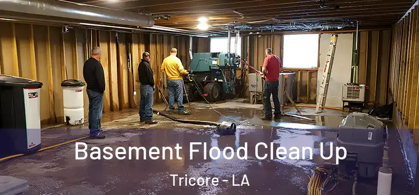  Basement Flood Clean Up Tricore - LA