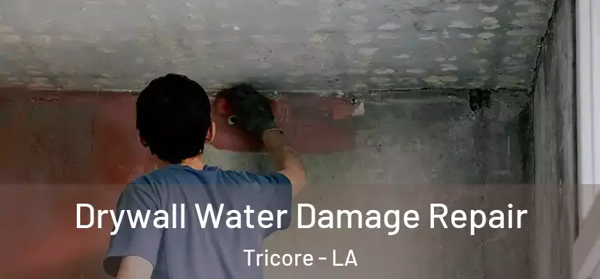 Drywall Water Damage Repair Tricore - LA