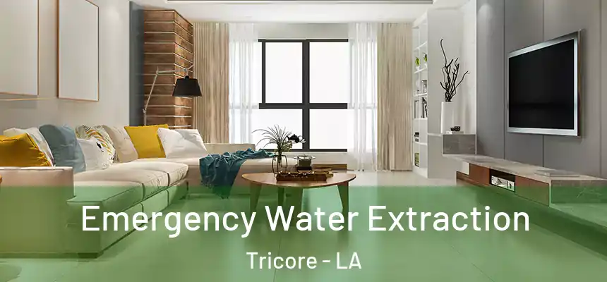 Emergency Water Extraction Tricore - LA