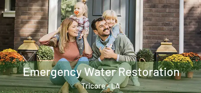  Emergency Water Restoration Tricore - LA