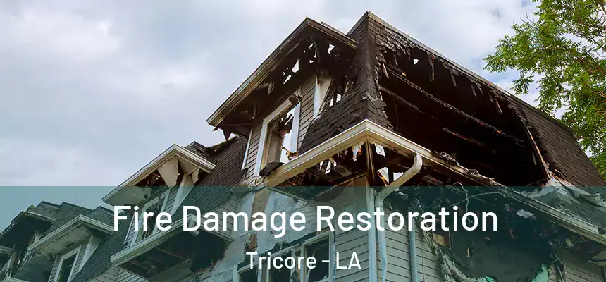  Fire Damage Restoration Tricore - LA