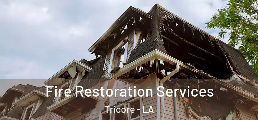 Fire Restoration Services Tricore - LA