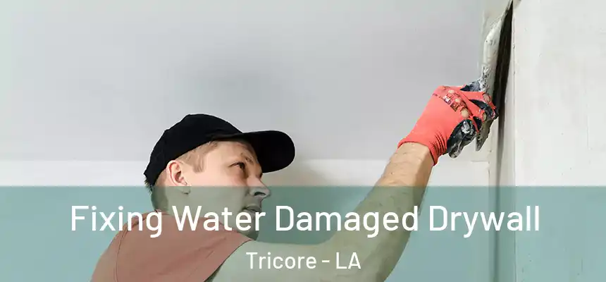  Fixing Water Damaged Drywall Tricore - LA