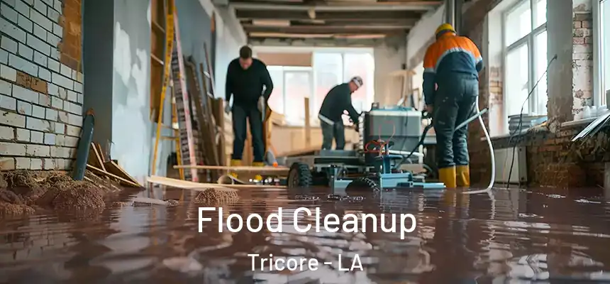  Flood Cleanup Tricore - LA