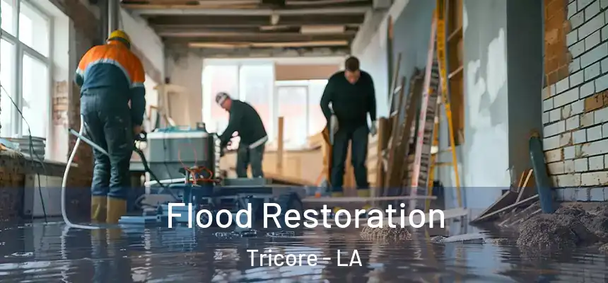 Flood Restoration Tricore - LA