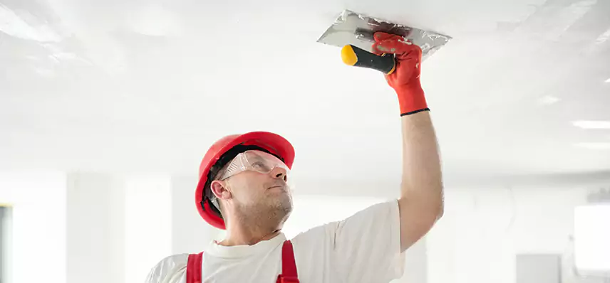 Basement Water Damage Repair in Tricore