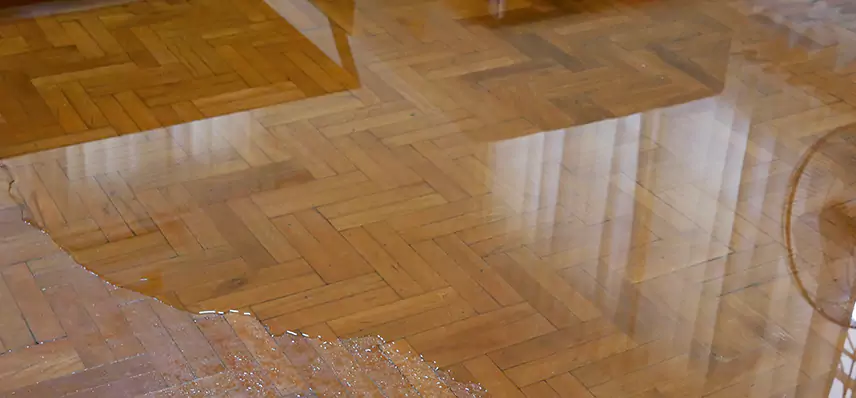 Laminate Wood Floor Water Damage Repair in Tricore