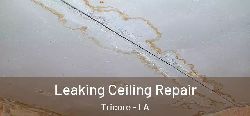  Leaking Ceiling Repair Tricore - LA