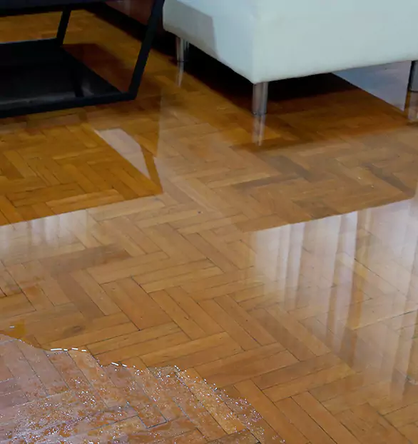 Trusted Emergency Water Restoration Company in Tricore, LA