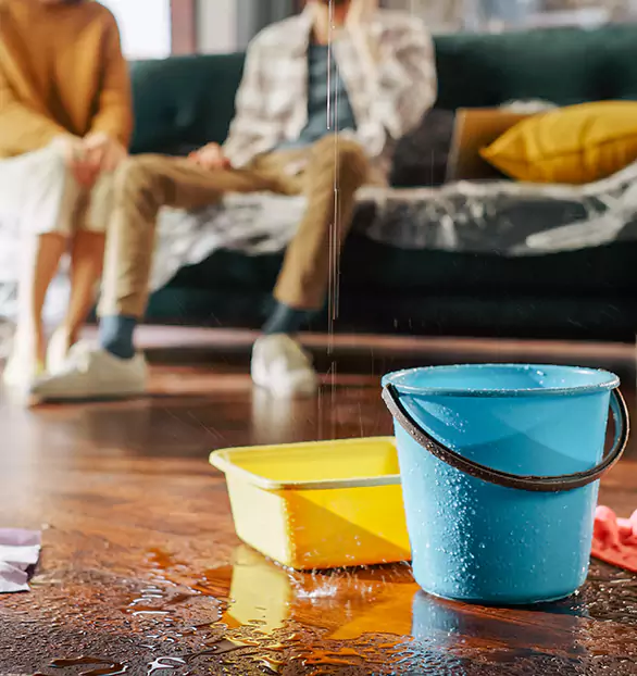 Trusted Water Remediation Company in Tricore, LA