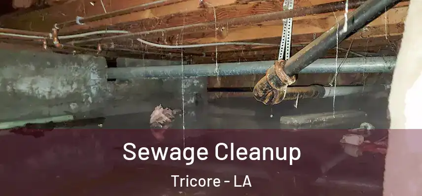  Sewage Cleanup Tricore - LA