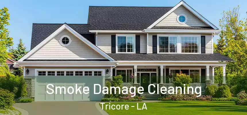  Smoke Damage Cleaning Tricore - LA