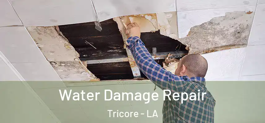 Water Damage Repair Tricore - LA