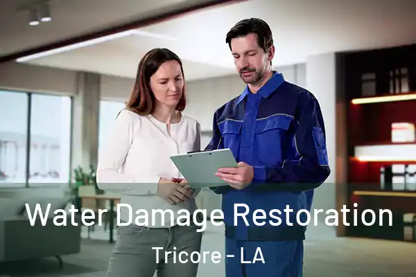  Water Damage Restoration Tricore - LA