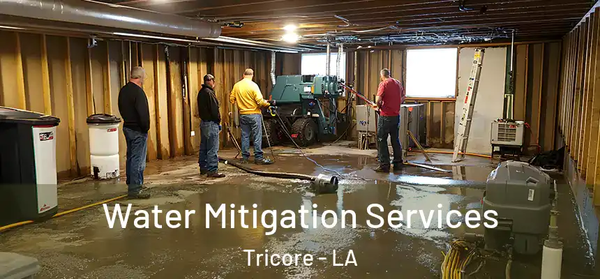 Water Mitigation Services Tricore - LA