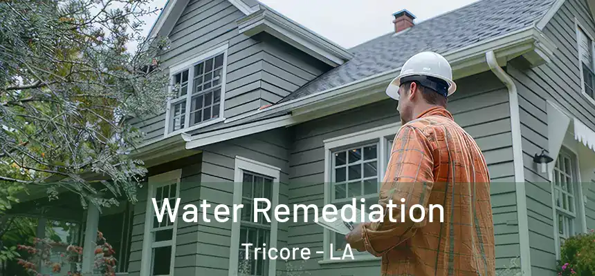 Water Remediation Tricore - LA