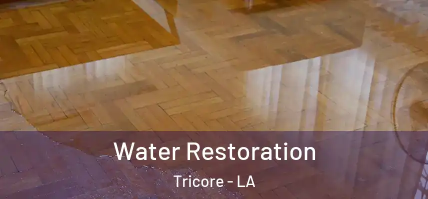  Water Restoration Tricore - LA