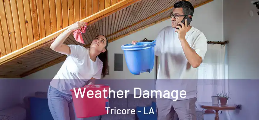  Weather Damage Tricore - LA